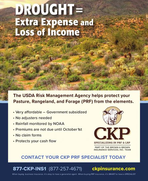 CKP Insurance advertisement