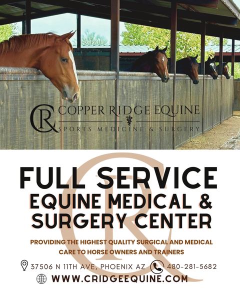 Copper Ridge Equine advertisement